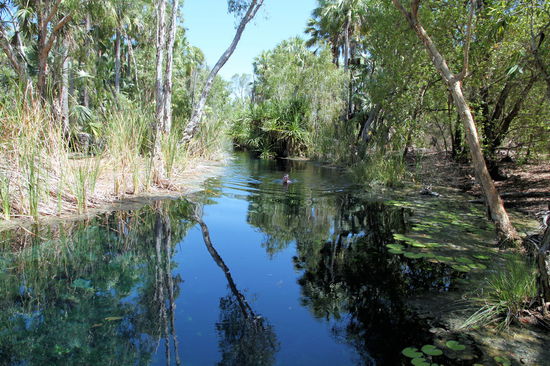 Dieser mutige australische Teenager hat sich reingetraut (im Gegensatz zu uns), aber Australier haben ja auch eine ganz andere Einstellung zur Natur ihres Heimatlandes und den dort vorkommenden Tierchen!