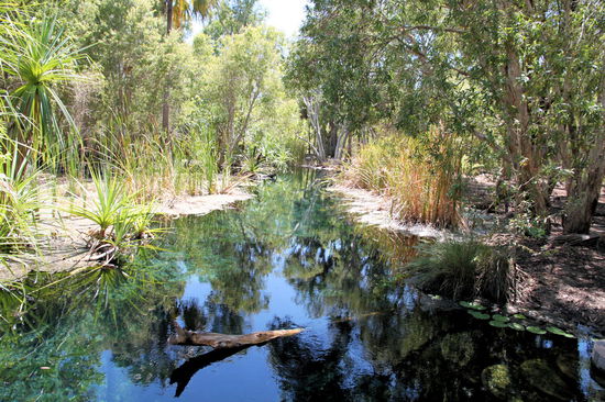 Kurz vor der Ausstiegsstelle wirds noch einmal schmaler und es liegen auch schon mal Äste im Wasser. Mir war es zum Schwimmen zu natürlich (es krauchte einiges in den Gebüschen) und Lizzy war die Wassertemperatur suspekt: "Das ist ja die optimale Temperatur für Bakterien!".