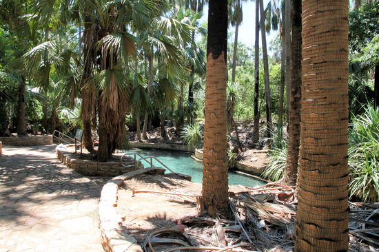 Die Hot Springs sind die andere Bademöglichkeit im Nationalpark. Hier kommen mehr Touristen hin und es ist weniger natürlich, da australische Offiziere, die hier in der Nähe während des zweiten Weltkriegs stationiert waren, eine Art Pool gebaut haben.