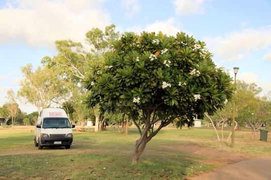 Wir hatten die große Wiese für uns alleine. Nur auf den powered sites waren ein paar andere Camper.