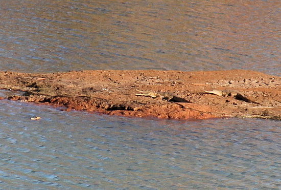 Auf unserem weiteren Weg Richtung Westen sahen wir von einer Brücke aus, wie sich Krokos auf einer Insel im Fluss sonnten. Links unterhalb der Insel sieht man noch die Schnauze vom dritten Kroko. Leider waren sie sehr schreckhaft. Als ich versuchte näher zu kommen für ein besseres Foto, verschwanden sie sofort im Wasser.