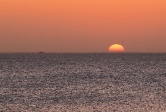 Nachdem es bereits recht hell war, kam dann auch endlich der eigentliche Star des frühen Morgens - die Sonne! Es war sehr schön, besonders die ruhige Morgenstimmung auf dem Campingplatz. Als ich wieder im Camper lag, entschied ich allerdings, dass es die Sonne in den nächsten Tagen auch ganz gut ohne mich schafft aufzugehen! 