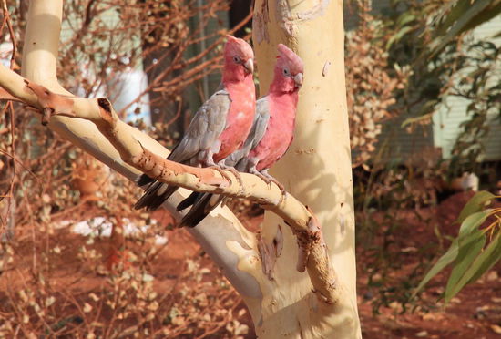 "Hab ich bei der ganzen Lästerei gar nicht mitbekommen."