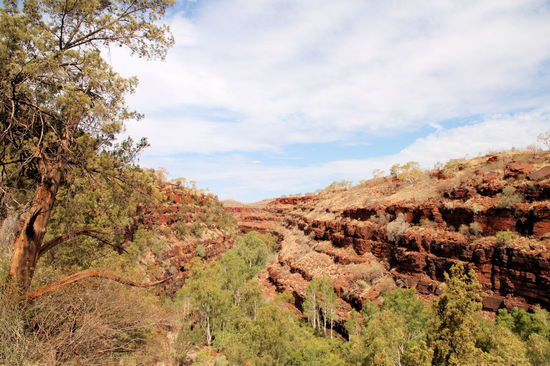 Ich bin dann alleine weiter in diese tolle Schlucht. Mit den durch Erosion geschaffen Terrassen an beiden Seiten, sieht die Schlucht aus, wie ein urzeitlicher Braunkohlentagebau!