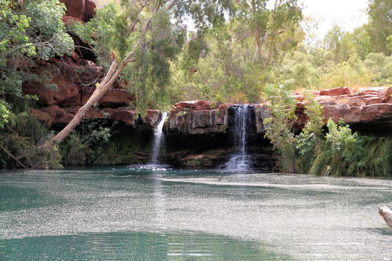 Auch wenn es ganz traumhaft ist unter solchen tropischen Wasserfällen bei 40 Grad im Schatten zu schwimmen.
Wenn man nicht trödelt, dann dauert der Weg vom Parkplatz bis zum Fern Pool und zurück gut eine Stunde.