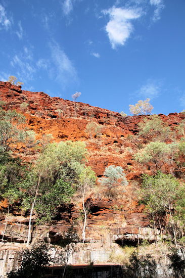 Schaut man die Felswände hinauf, sieht man die verschiedenfarbigen Felsen von weiß-grau bis rot-orange, dazu die grüne Vegetation und der blaue Himmel!