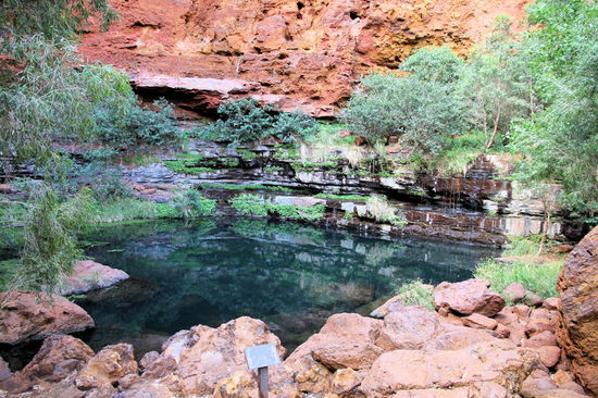 Am Ende der Schlucht liegt der der Circular Pool, der von hier deutlich schöner wirkt, als oben vom lookout. Leider gab es nur dieses eine alte Schild, wo schon lange nichts mehr drauf steht. Daher kann ich nicht über irgendwelche Besonderheiten des Pools berichten. Laut Fotos im Visitor Centre gibt es hier im Nationalpark aber große (ca. 6 Meter) Pythons, die gerne mal ein Känguru "umarmen".