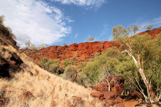 Auf dem Rückweg kamen die Farben dank der tief stehenden Sonne sehr intensiv zur Geltung.