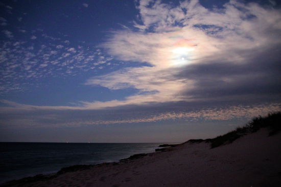 Anschließend sind wir zum Jurabi Turtle Centre und haben am dortigen Strand bei Mondschein nach Schildkröten Ausschau gehalten. Es war gerade die Zeit der Eiablage, d. h. die Schildkröten kommen nach Einbruch der Dunkelheit an den Strand, graben ein großes Loch und legen ihre Eier hinein. Dann wird das Loch wieder zugeschaufelt und die erschöpfte Schildkröte schleppt sich zurück ins Wasser. Dank nahezu Vollmond war der Strand gut ausgeleuchtet, aber trotz einer Stunde still rumsitzen (ihr könnt euch vorstellen, dass es nicht leicht für mich war!) haben wir keine Schildkröte gesehen. Wir haben noch an einem weiteren Strand unser Glück versucht, aber auch dort nichts gesehen. Erneut kamen wir uns vor wie bei den versprochenen "Mutton Birds" (s. Kapitel Great Ocean Road)!