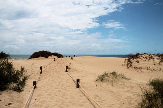 Düne in der Nähe des Yardie Creek. Immerhin kann man noch erkennen, wo der Weg durch die Dünen mal langführte.