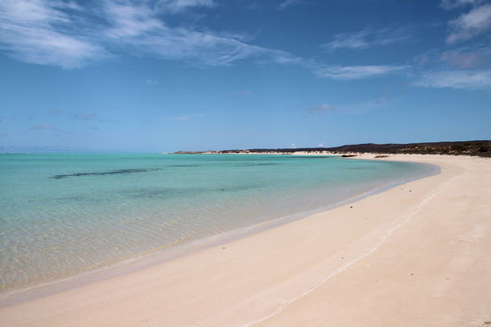 Achtung Fernwehgefahr! Dies ist die Sandy Bay. Hier sind die Schnorchelmöglichkeiten nicht so gut, dafür ist es aber ein hervorragender Platz zum schwimmen. Wir machten hier Mittagspause und Lizzy war im Wasser - ich nur zu Hälfte.
(Lizzy) War ja klar.
(Rod) Ich war frisch eingecremt und das Wasser war kalt - zumindest für mich!