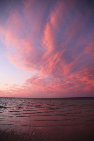 Noch mehr Pink/Lila - Lizzy war ganz begeistert.