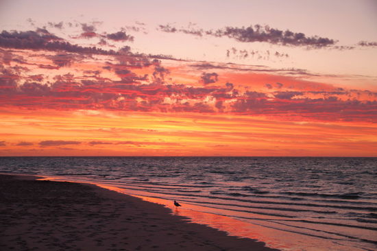 Ein Bilderbuchsonnenuntergang!