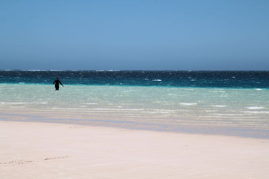 Nein, es ist nicht Lizzy und auch keine Robbe auf zwei Beinen. Es ist nur eine Person im Neoprenanzug, die zeigen soll, wie seicht es ins Wasser geht. Am Ende des hellen Bereichs (ein paar Meter hinter der Person) steht man ungefähr bis zur Hüfte im Wasser. Dahinter geht es steil nach unten auf eine Tiefe von ca. 2-3 Metern. Ab dort fangen auch schon die Korallen an. Die weißen Linien am Horizont sind Wellen, die am Außenriff brechen.