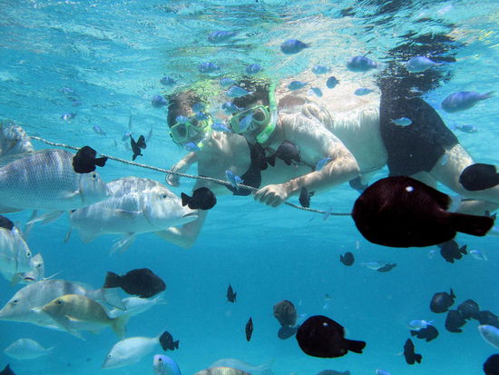 Wir beiden im Aquarium. Nein, natürlich nicht. Wir hängen an der Bootsleine für das Abschlussfoto. Für den Fischreichtum auf diesem Foto wurde vom Skipper mit ein wenig echtem Fischfutter (immerhin!) nachgeholfen und nicht wie andernorts Toastbrotstückchen ins Wasser geworfen. Wir hätten auf die künstliche Anfütterung gerne verzichtet, aber leider hatten wir keinen Einfluss darauf.