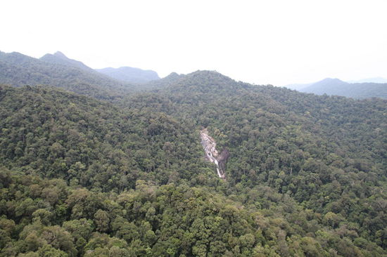 Um die Pools und den Wasserfall nichts außer tropischem Regenwald.