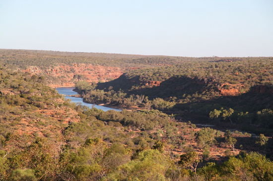 Am frühen Abend machten wir eine Kaffeepause am Hawkes Head lookout. Anschließend sind wir noch zum Ross Graham lookout gefahren, aber da es schon recht spät war, lag dort fast alles im Schatten.