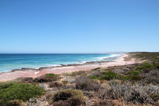 Am nächsten Tag hielten wir an vielen lookouts an der Küste des Kalbarri NP.