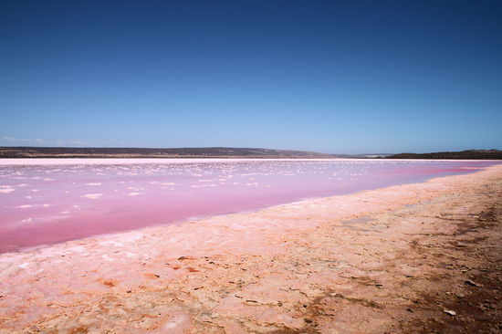 Auf der anderen Seite des Sees trennten keine Dämme die pinke Brühe vom normalen Seewasser, sodass sich eine pittoreske pink-kristalline (der See hat einen hohen Salzgehalt) Uferlandschaft entwickeln konnte.