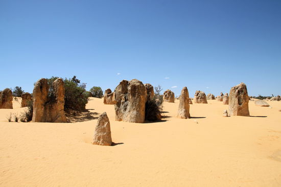 Die Pinnacles im Nationalpark sind einfach und angenehm zu besichtigen. Es gibt einen loop, den man mit dem Auto oder Campervan fahren kann. Dabei kommt man automatisch an den interessantesten Stellen vorbei und muss nicht durch die Hitze laufen. Wem das nicht reicht, der kann anschließend noch zu Fuß die Pinnacles erkunden.