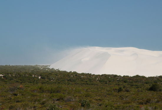 Bei näherer Betrachtung kann man gut erkennen, wie der Sand durch den Wind weitertransportiert wird.