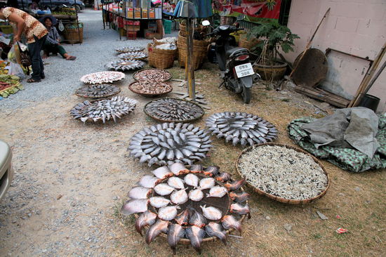 Frischer Fisch auf einem Markt. Wir besuchten auch einen Markt und unter der Anleitung von Arne probierten wir einige Früchte, die wir noch nicht kannten.