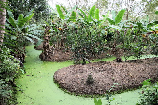 Überall konnte man die kleinen "schwimmenden" Gärten sehen, wo unterschiedlichste Produkte angebaut wurden.