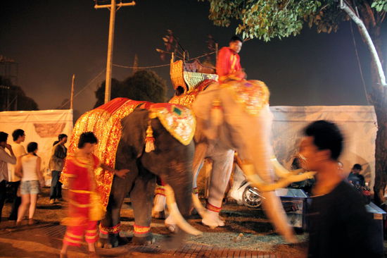 Abends gingen wir noch zur Generalprobe für das "Ayutthaya-Musical" am Wat Mahathat. Für 10 Tage wurde hier ein "Musical" aufgeführt über die Geschichte Ayutthayas/Thailands. Im Bild die hübsch geschmückten Kampfelephanten der Aufführung.