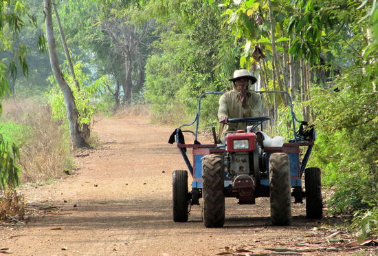Ein Minitrecker der einen Anhänger zieht. Diese Minitrecker (japanische Fabrikate) sind sehr vielseitig. Sie werden aus Zugmaschinen, für diverse Arbeiten auf dem Feld oder als Generatoren verwendet. Aufgrund ihrer Vielseitigkeit werden sie auch 'japanische Wasserbüffel' genannt - so vielseitig wie ein echter Wasserbüffel (die man übrigens nur noch selten sieht).