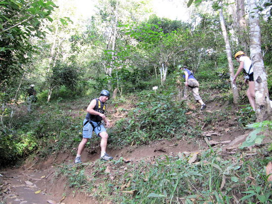 Der Anstieg im Wald.