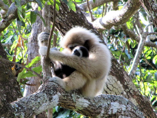 Zeit zum Kuscheln - ist ja schließlich Weihnachten!