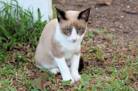 Und dies war ihr Blick, als ich ihr sagte, dass ich gar nicht von einer Modelagentur bin und wir sie nicht mitnehmen können. 
