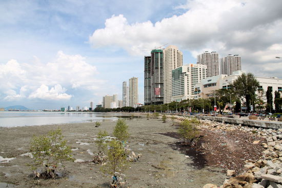 Gurney Plaza in Richtung Osten. Bei Ebbe finde ich die Nähe zum Wasser nicht so erstrebenswert, dann entstehen leichte Müll-Mangroven.