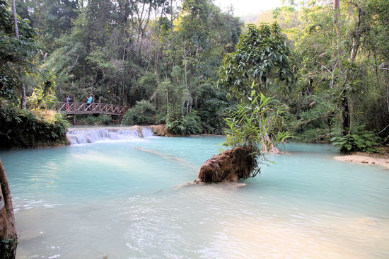 Mit Amy und Sean machten wir im neuen Jahr einen Halbtagesausflug zu den Wasserfällen 'Tad Kuang Xi'. Kuang Xi ist der Fluss, der sich dort in mehreren Stufen in die Tiefe stürzt. Es gibt schöne Kalkformationen und türkise Badebecken zu sehen.