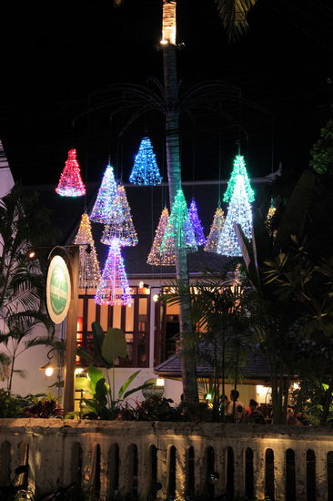 Schöne Weihnachtsbeleuchtung (hängend an einer Palme) in einem Gartenrestaurant in Luang Prabang.