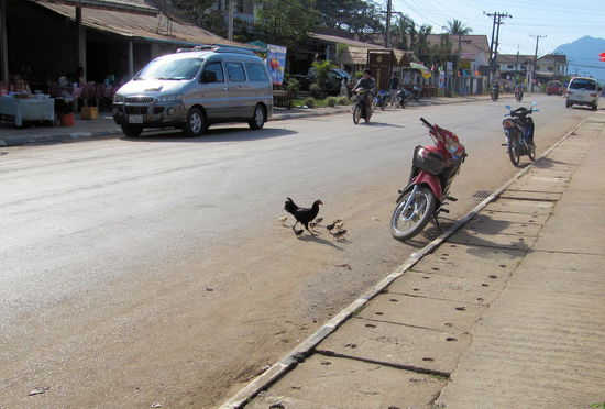 Am frühen Morgen kann selbst das Huhn mit seinen kleinen Küken noch sicher die Straße in Vang Vieng überqueren.