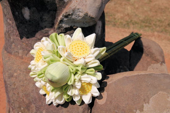Dieser ganze Bereich wird verbunden durch die Elefantenterrasse. Auf einer der Statuen lag dieser wunderschöne Strauß. 
(Lizzy) Den hätte ich gerne als Brautstrauß gehabt!