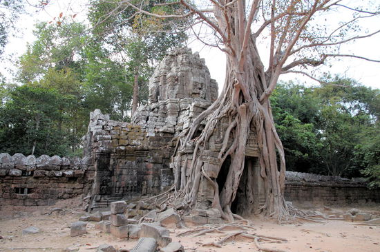 Das wunderschön überwachsene Osttor des Tempels Ta Som aus dem 12. Jahrhundert.