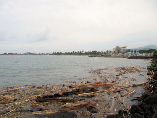 Das Hafenbecken war nach dem ganzen Regen und Sturm voll mit Treibgut.