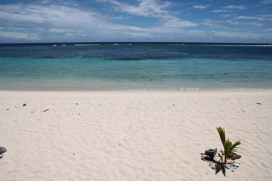 Man kann auf der Matratze in seinem Fale liegen und diesen traumhaften Ausblick genießen!
Falls ihr euch wundert, warum die Palme unten rechts so klein ist - kein Paradies ist perfekt. Der wunderschöne Lalomanu Beach wurde 2009 von einem verheerenden Tsunami überrollt. Dabei wurde so ziemlich alles zerstört und eine Person ist in den Fluten gestorben. Mittlerweile sind die meisten Gebäude und Fales wieder aufgebaut und die Palmen neu gepflanzt.