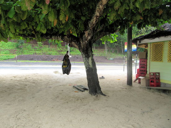 Wers lieber vegetarisch mag, konnte sich jederzeit an der Bananenstaude bedienen, die für alle neben dem Hauptfale am Baum hing.