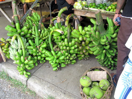 Am nächsten Tag machten wir uns auf den Weg in die Innenstadt und besuchten den Markt, der starke Ähnlichkeit mit dem Markt auf Samoa hatte. Auch hier werden die Bananen gleich Staudenweise verkauft.