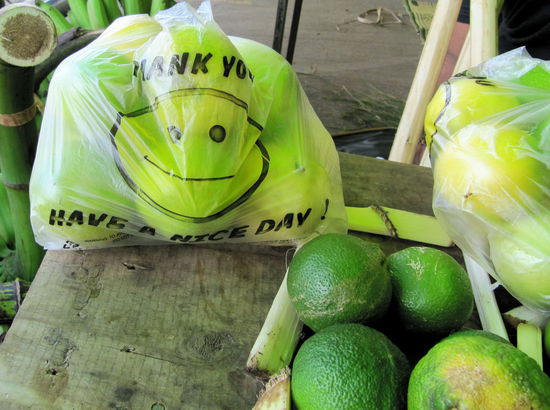 Hier sah ich auch diese nette Plastiktüte mit smiley und 'Thank you - have a nice day!'.