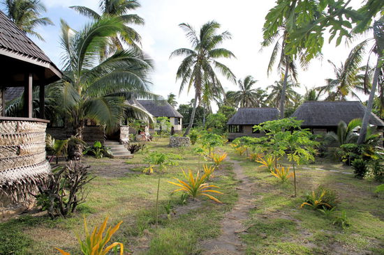 Der tropische Garten in dem die Fales stehen.