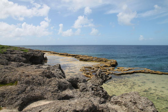 Einer der ersten Haltepunkte waren die blowholes. Obwohl es recht windig war, kam der Wind anscheinend nicht aus der richtigen Richtung, daher sind auch keine Wasserdampffontänen aus den blowholes zu sehen.