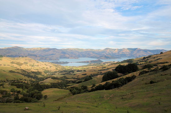 Die schönen Hügelketten der Banks Peninsula. Es sind die erodierten Kraterränder von zwei uralten Vulkanen.