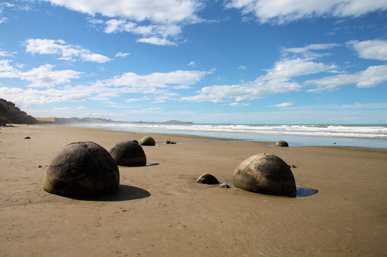 Viele sind aber noch komplett und liegen wie überdimensionale Fußbälle am Strand herum.