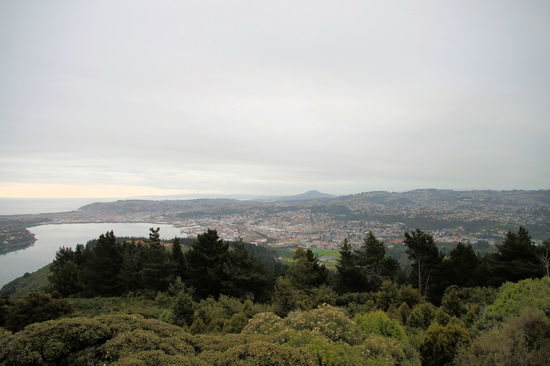 Abendlicher Ausblick vom Signal Hill auf Dunedin. Die Bucht auf der linken Seite trennt die Stadt Dunedin von der Otago Peninsula.