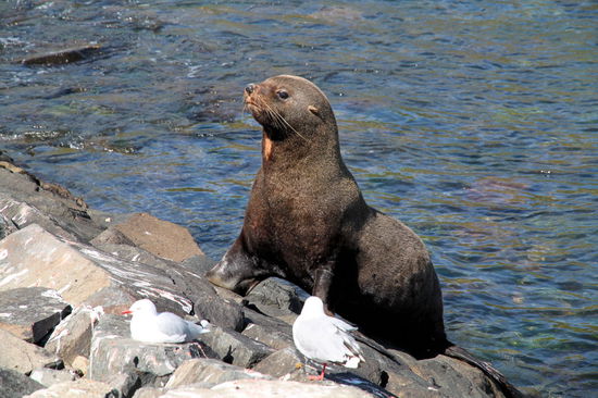 Zwischendurch kurz mal aufrichten und auf einen schöneren Stein legen.