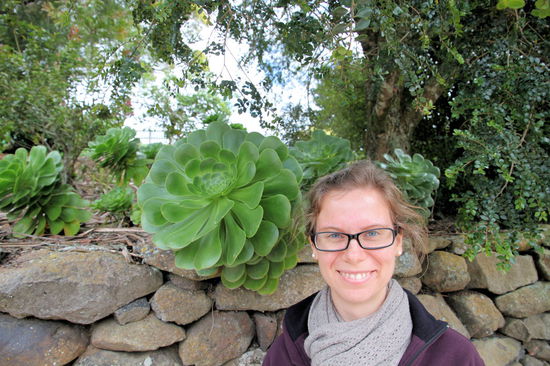 In den Gärten gefielen uns besonders die großen Sukkulenten.